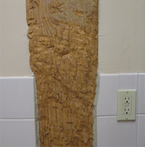 Post chewed on by horses in the Alpha Building, Grass Valley, CA